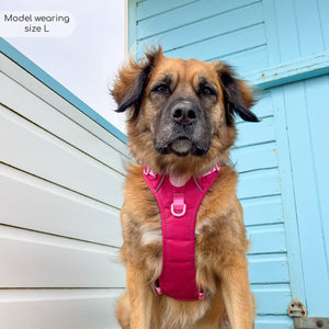 Tough Trails™ Harness - Walkies Ready® Raspberry Pink