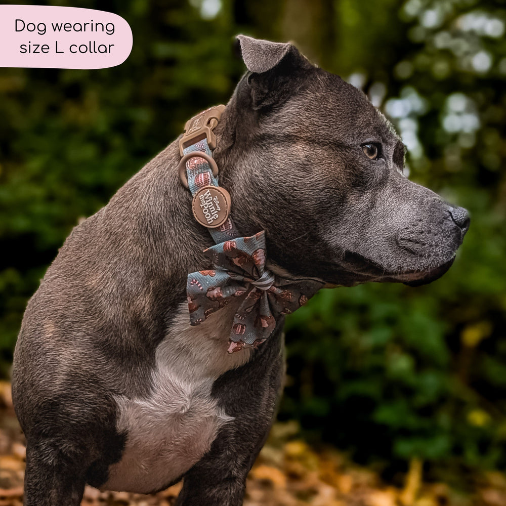 Disney© Collar - Gingerbread Bear Sage