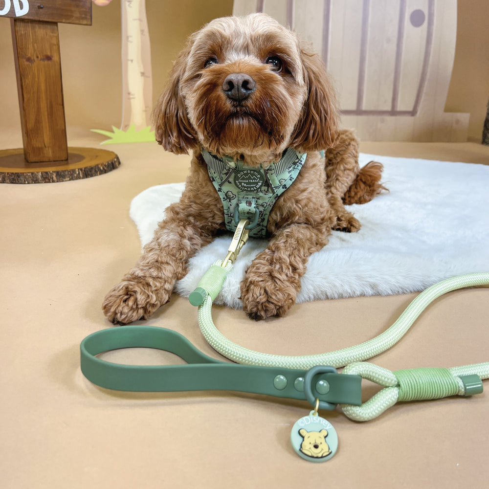 Disney© 4ft Rope Lead - 100 Aker Wood - Light and Dark Green