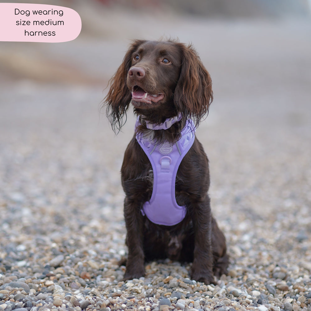 Tough Trails™ Harness - Walkies Ready® Lavender Lilac