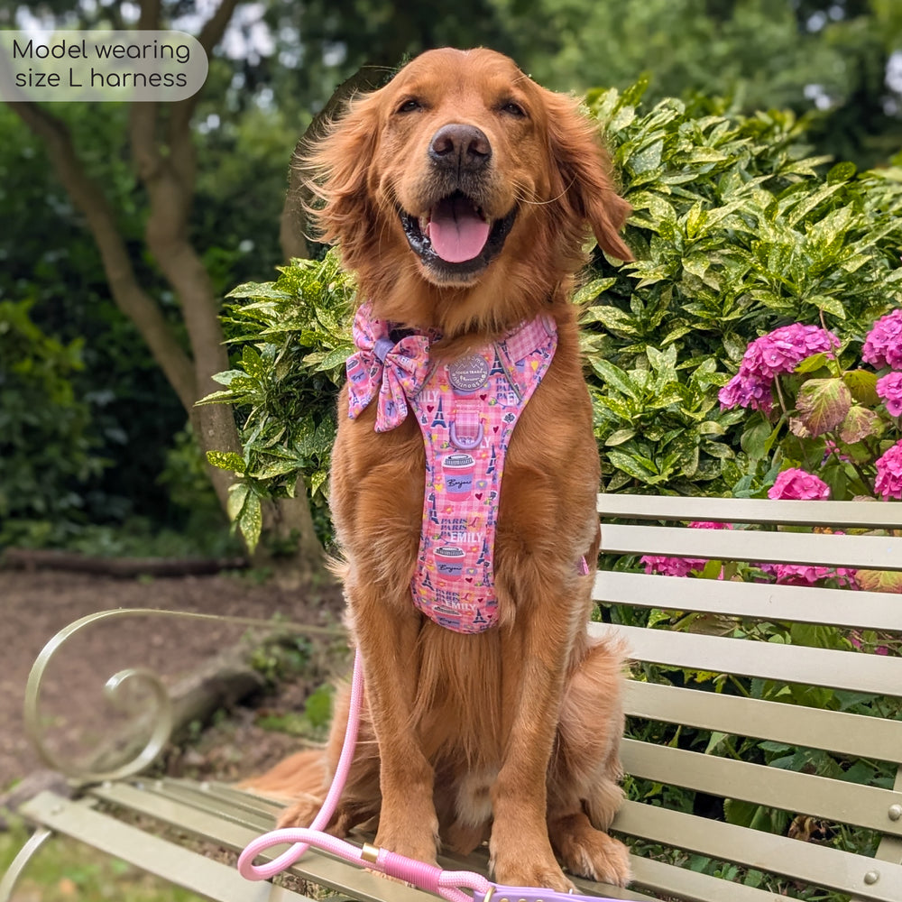 Tough Trails™ Harness - Emily In Paris