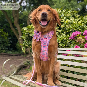 Tough Trails™ Harness - Emily In Paris