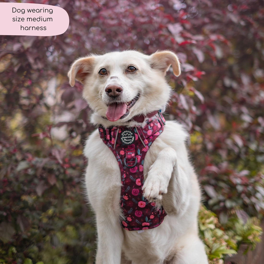 Tough Trails™ Harness - Mable's Meadow
