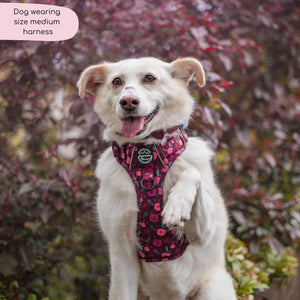 Tough Trails™ Harness - Mable's Meadow