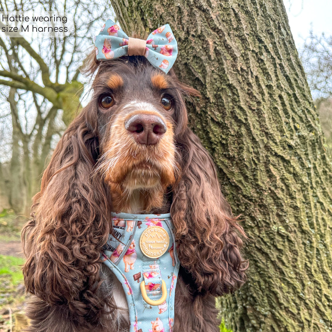 Disney© Bow Tie - Winnie The Pooh