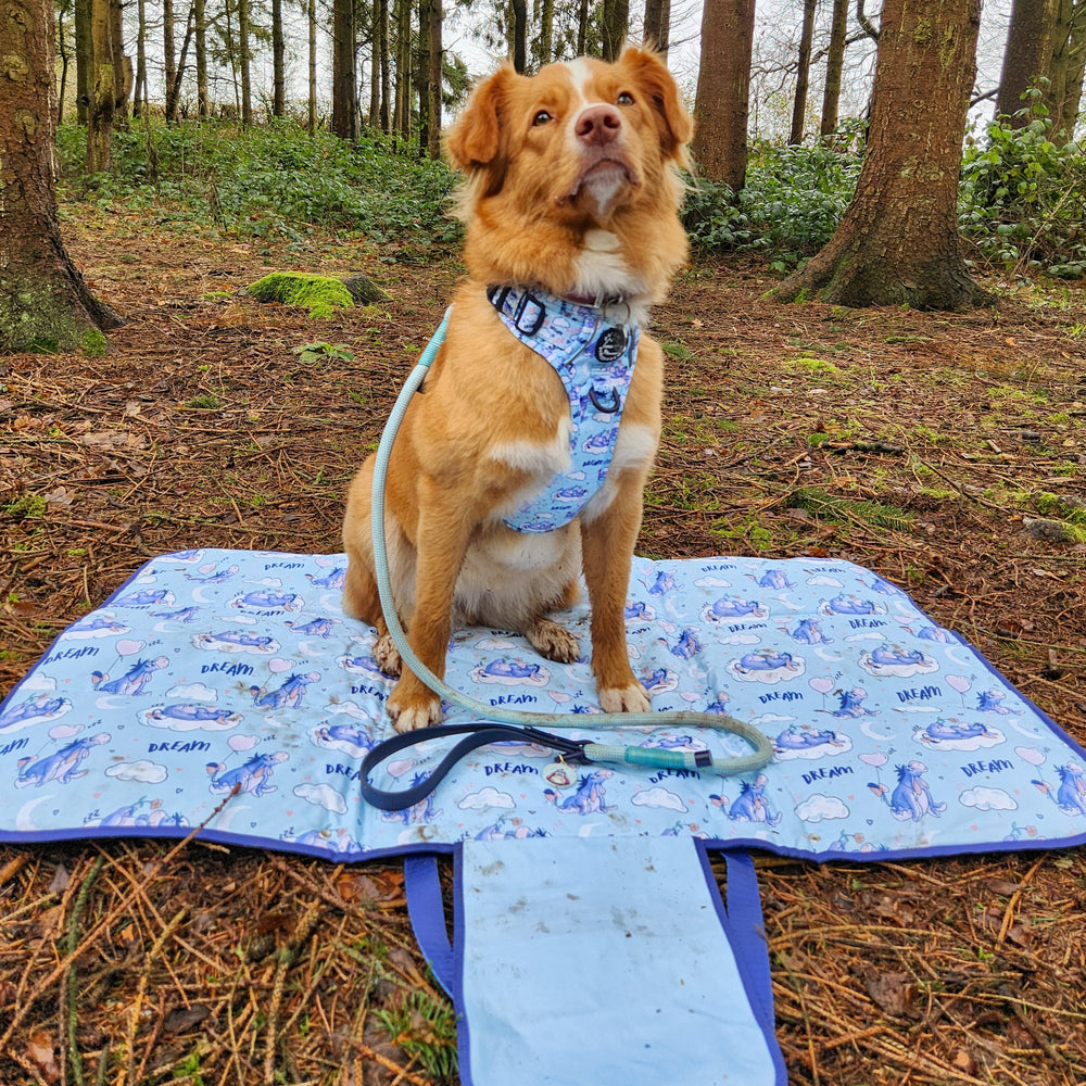 Disney© Travel Mat - Eeyore