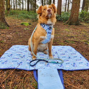 Disney© Travel Mat - Eeyore