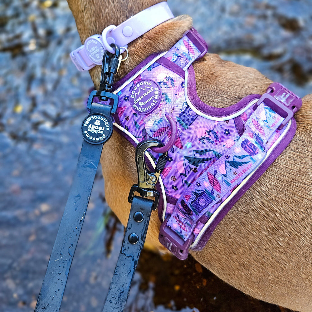 Double Ended Lead - Walkies Ready® Black