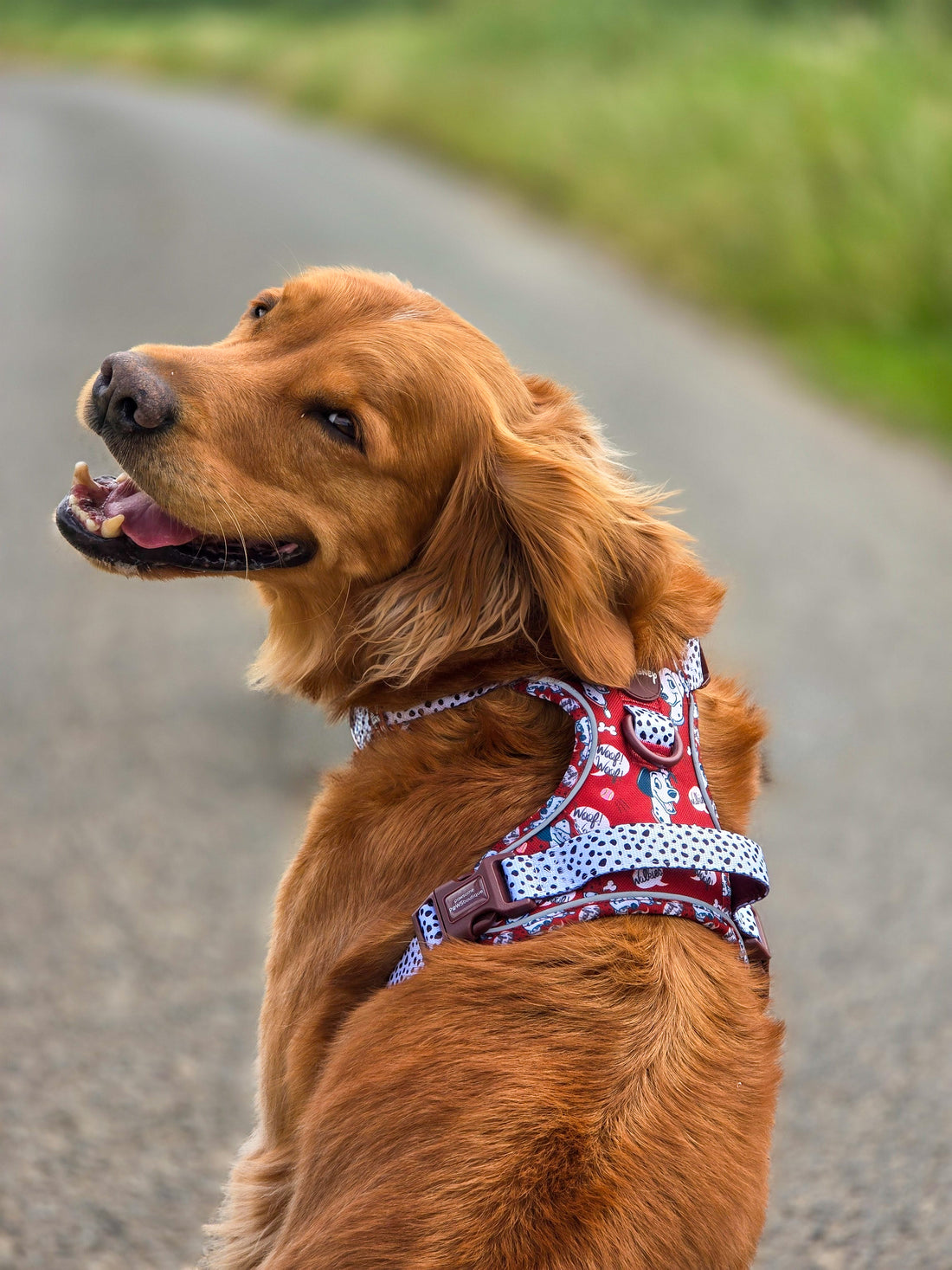 Disney© Tough Trails™ Harness - 101 Dalmatians