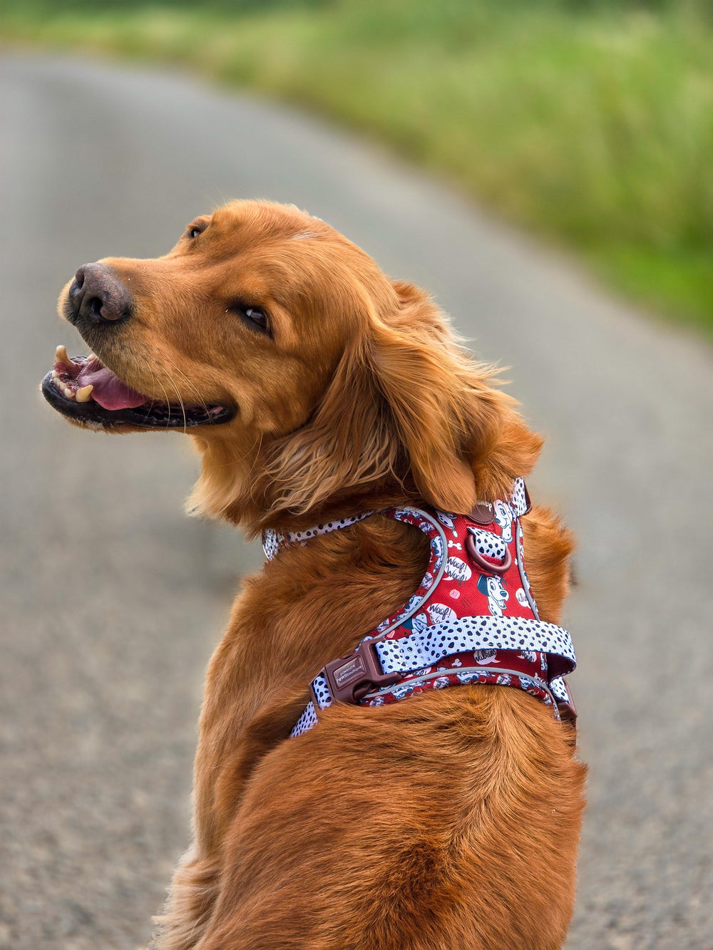Disney© Tough Trails™ Harness - 101 Dalmatians