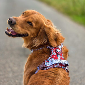 Disney© Tough Trails™ Harness - 101 Dalmatians