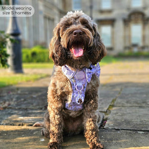 Disney© Tough Trails™ Harness - Bambi + Friends Lilac