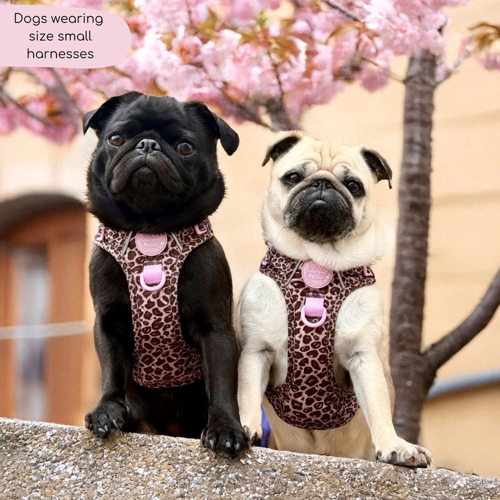Tough Trails™ Harness Leopard Print – Pawsome Paws Boutique