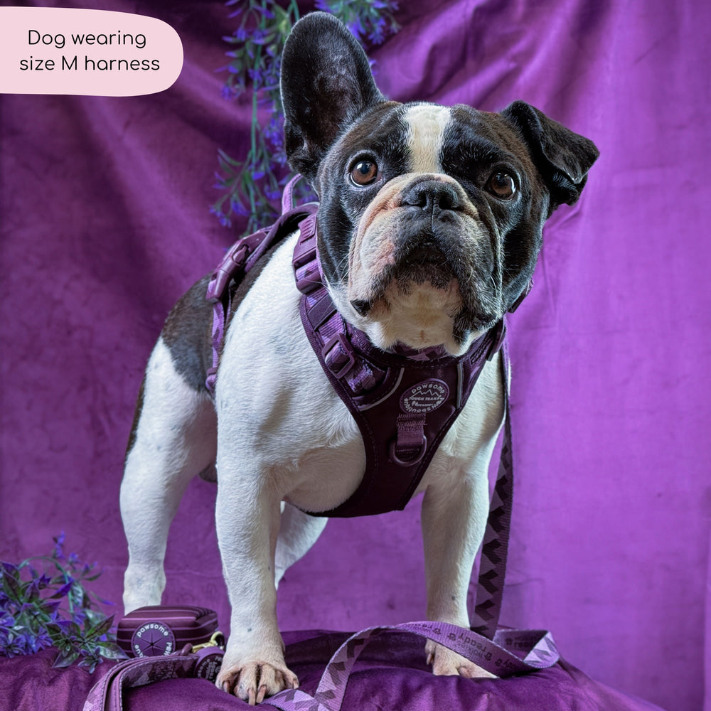 Tough Trails™ Harness - Walkies Ready® Plum
