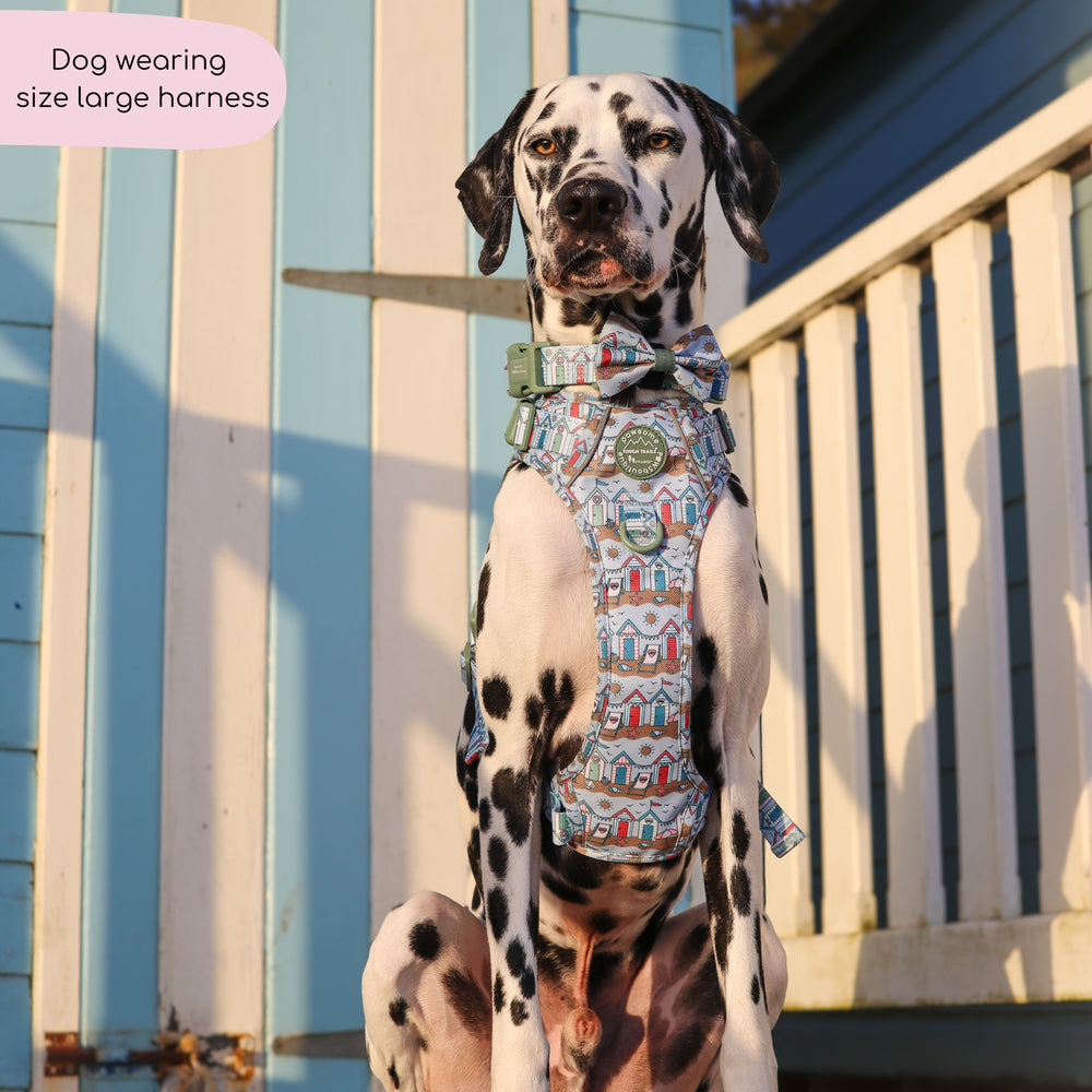 Tough Trails™ Harness -  Sandy Shores