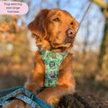 Disney© Tough Trails™ Harness - Jungle Book