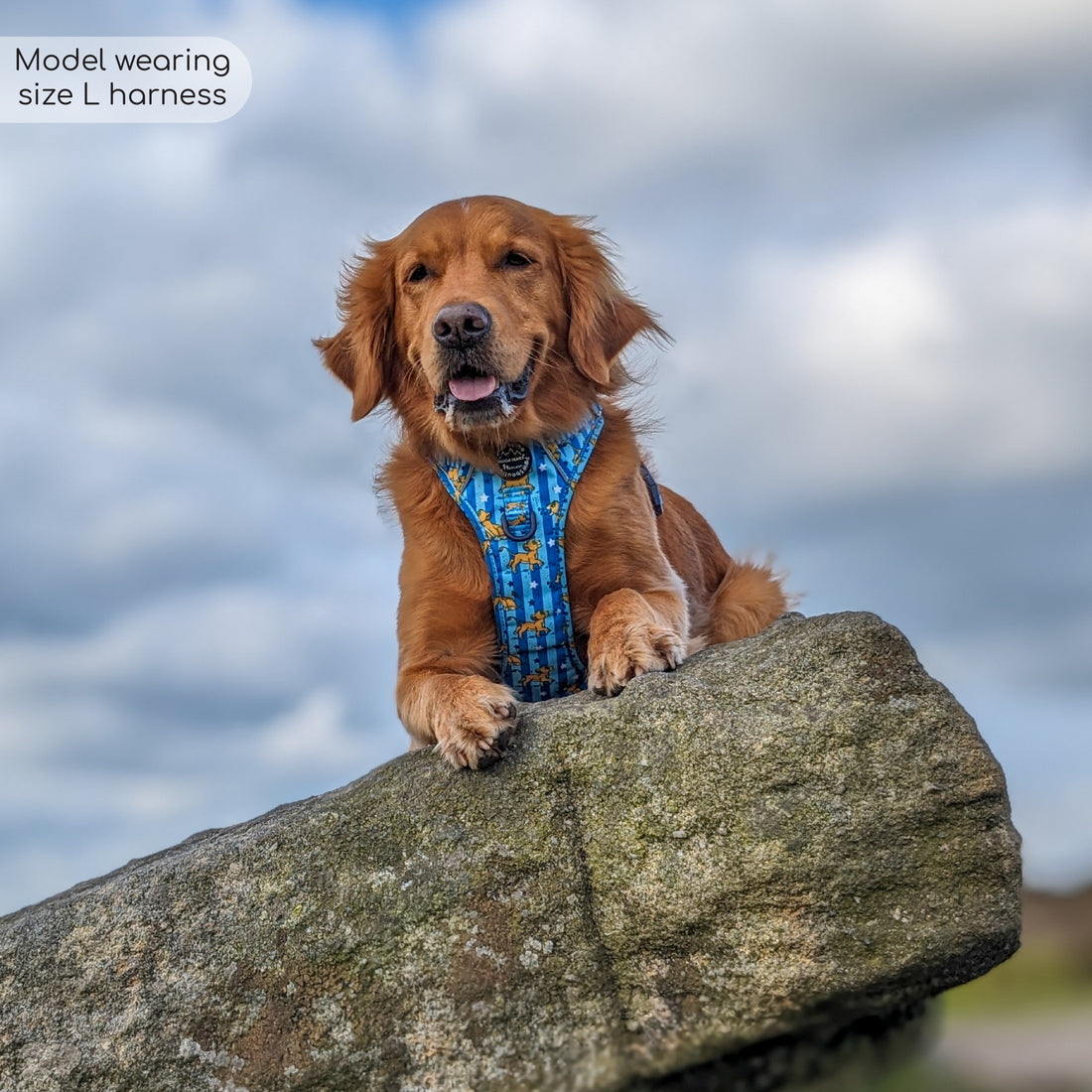 Disney© Tough Trails™ Harness - Simba
