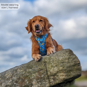 Disney© Tough Trails™ Harness - Simba