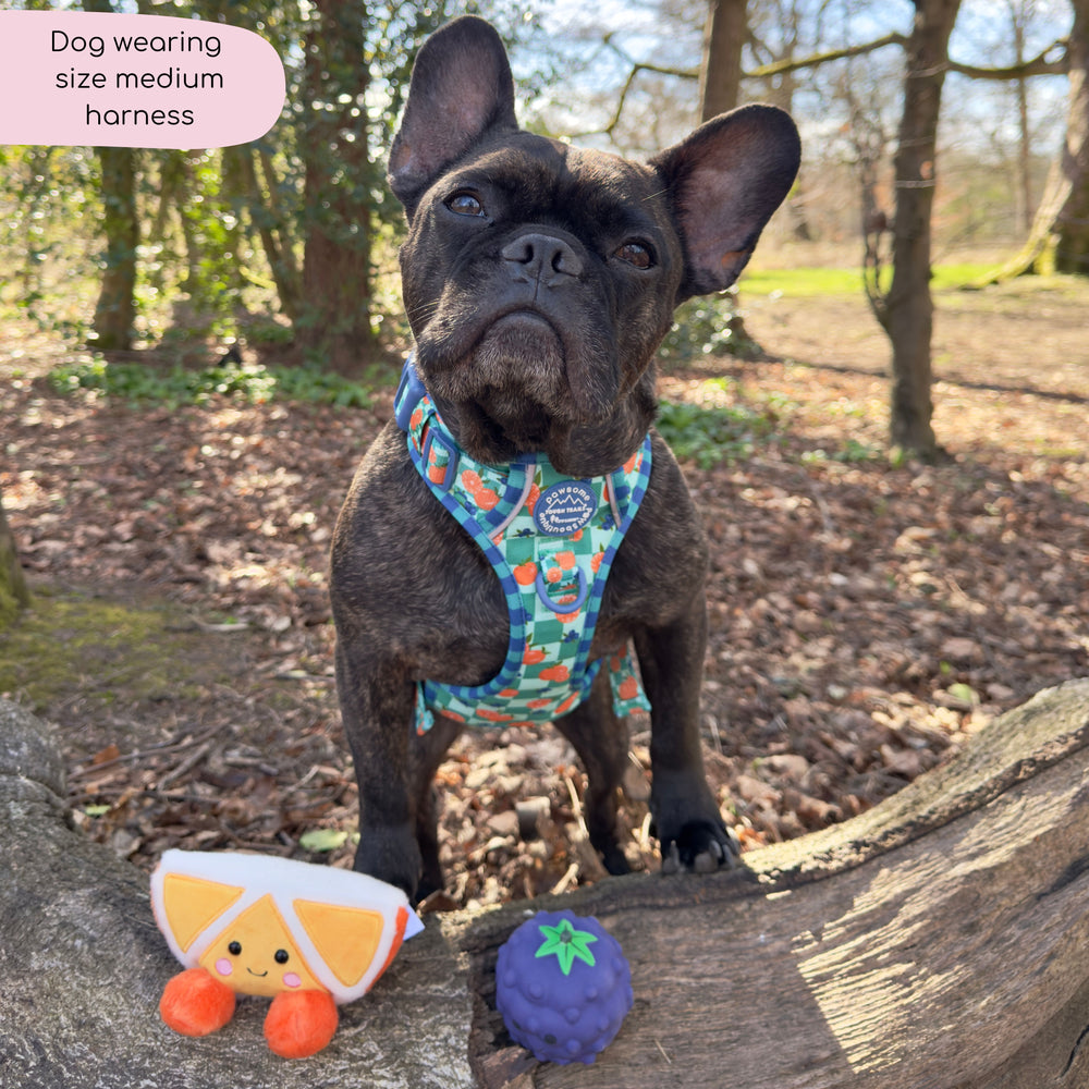 Tough Trails™ Harness -  Fruit Punch