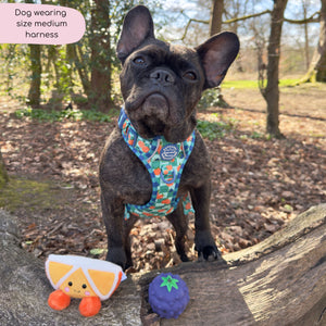 Tough Trails™ Harness -  Fruit Punch