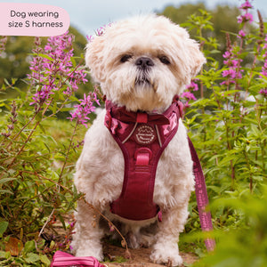 Tough Trails™ Harness - Walkies Ready® Mulberry