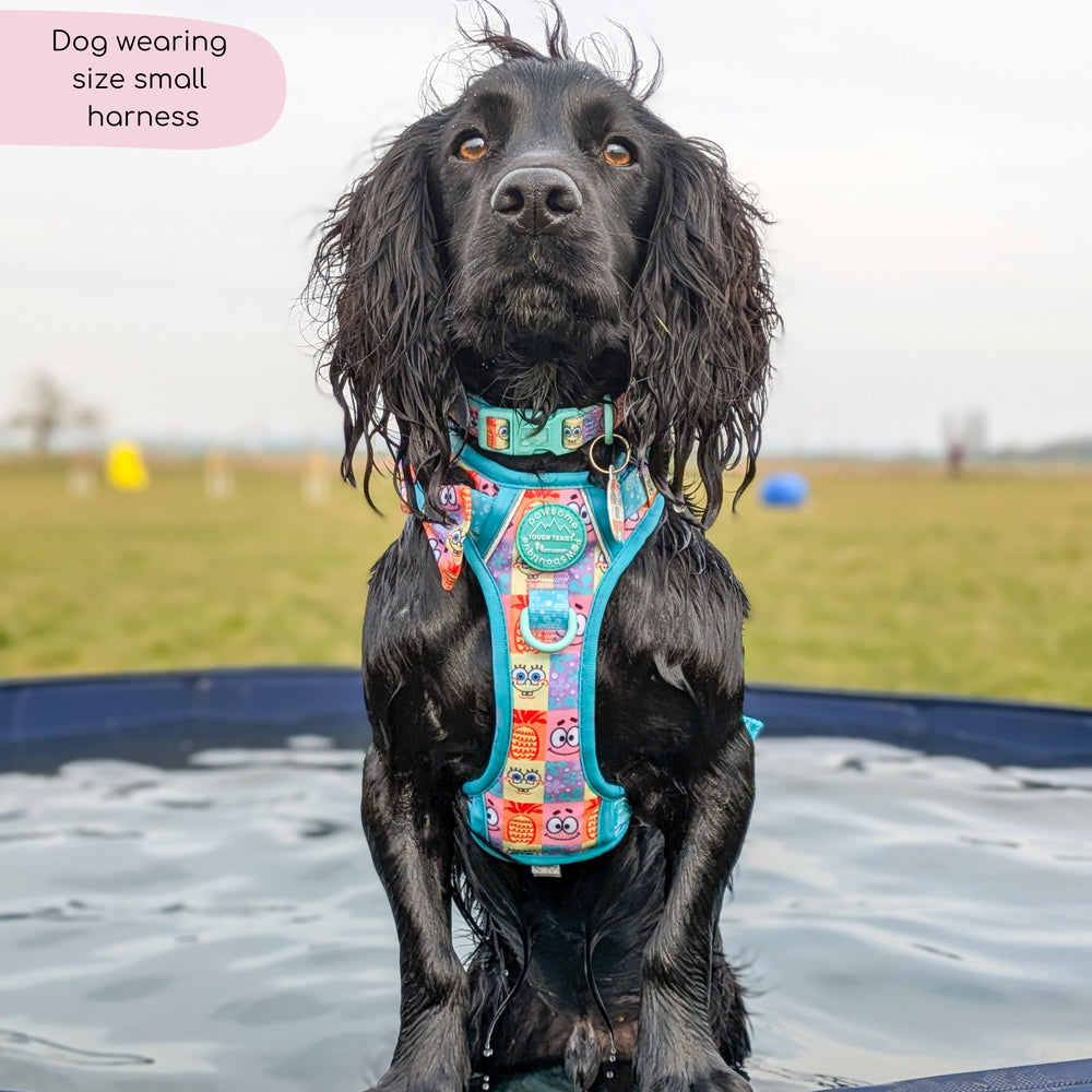 Tough Trails™ Harness - Spongebob