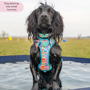 Tough Trails™ Harness - Spongebob