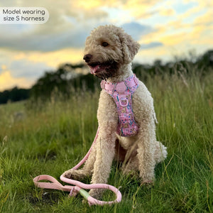 Disney© Tough Trails™ Harness - Nala