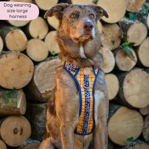 Disney© Tough Trails™ Harness - Woody