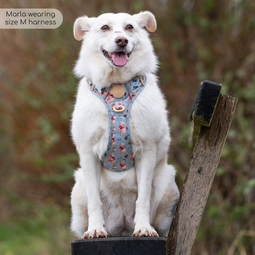 Disney© Tough Trails™ Harness - Winnie The Pooh