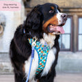 Tough Trails™ Harness -  Fruit Punch
