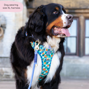 Tough Trails™ Harness -  Fruit Punch