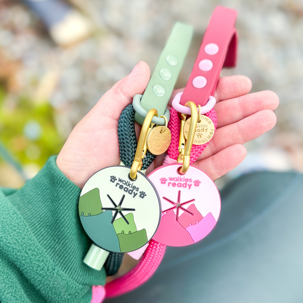 Pawsome Poop Pocket - Walkies Ready®- Raspberry Pink