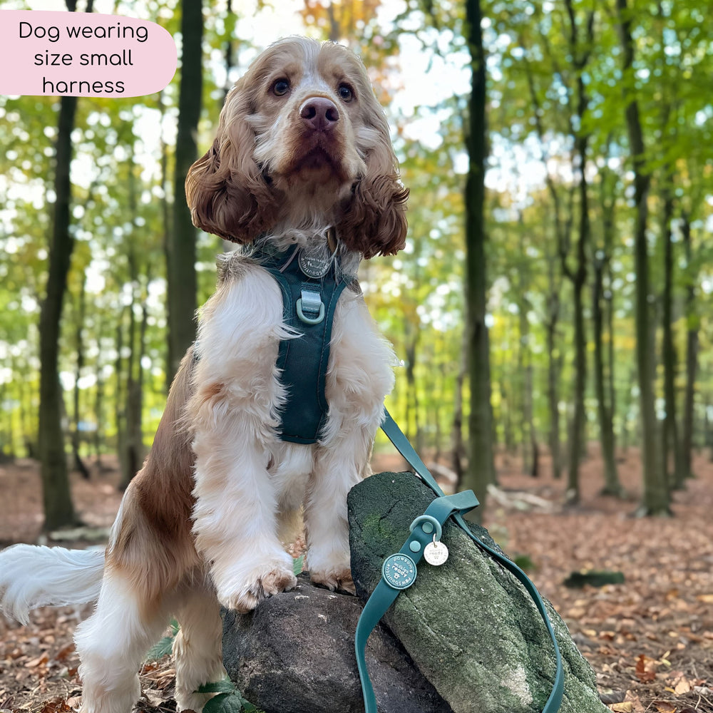 Tough Trails™ Harness - Walkies Ready® Forest Green