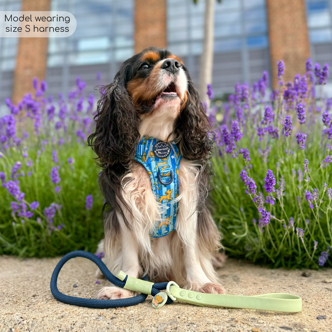 Disney© Tough Trails™ Harness - Simba