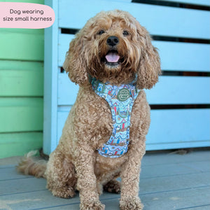 Tough Trails™ Harness -  Sandy Shores