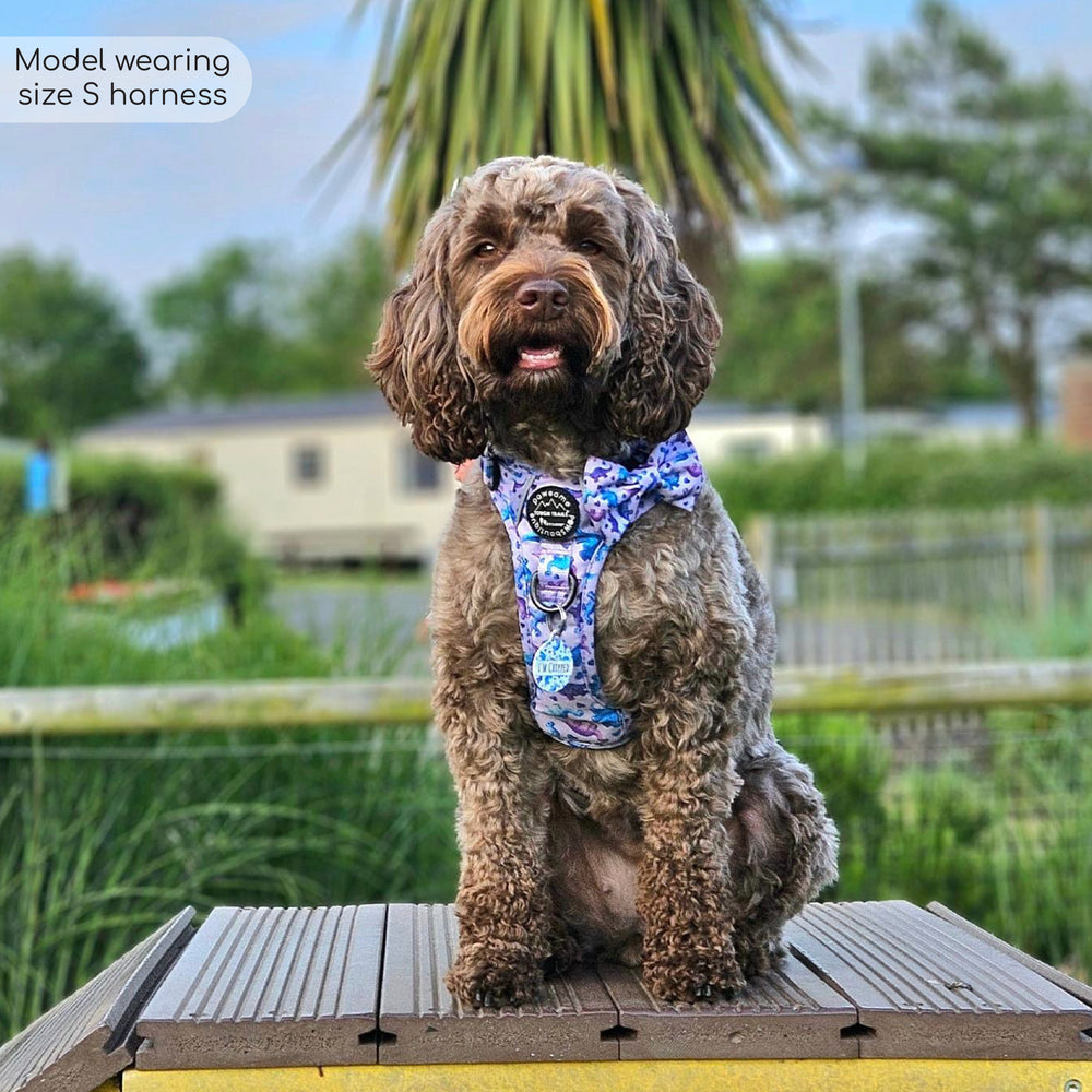 Tough Trails™ Harness - Tiny Diny