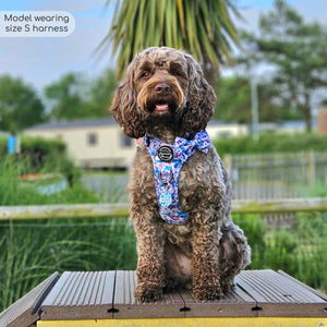 Tough Trails™ Harness - Tiny Diny