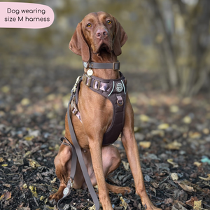 Tough Trails™ Harness - Walkies Ready® Chocolate Brown