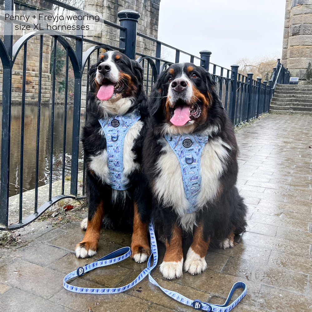 Disney© Tough Trails™ Harness - Eeyore