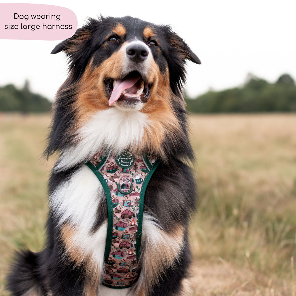 Tough Trails™ Harness -  Adventure Awaits