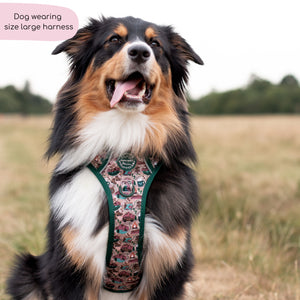 Tough Trails™ Harness -  Adventure Awaits