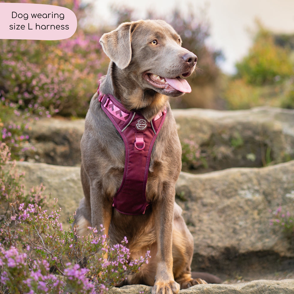 Tough Trails™ Harness - Walkies Ready® Mulberry