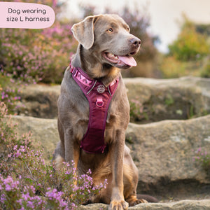 Tough Trails™ Harness - Walkies Ready® Mulberry