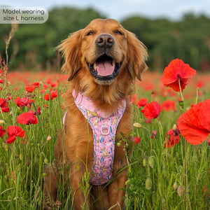 Disney© Tough Trails™ Harness - Nala