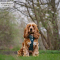 Tough Trails™ Harness - Walkies Ready® Forest Green