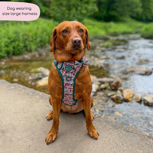 Tough Trails™ Harness -  Adventure Awaits