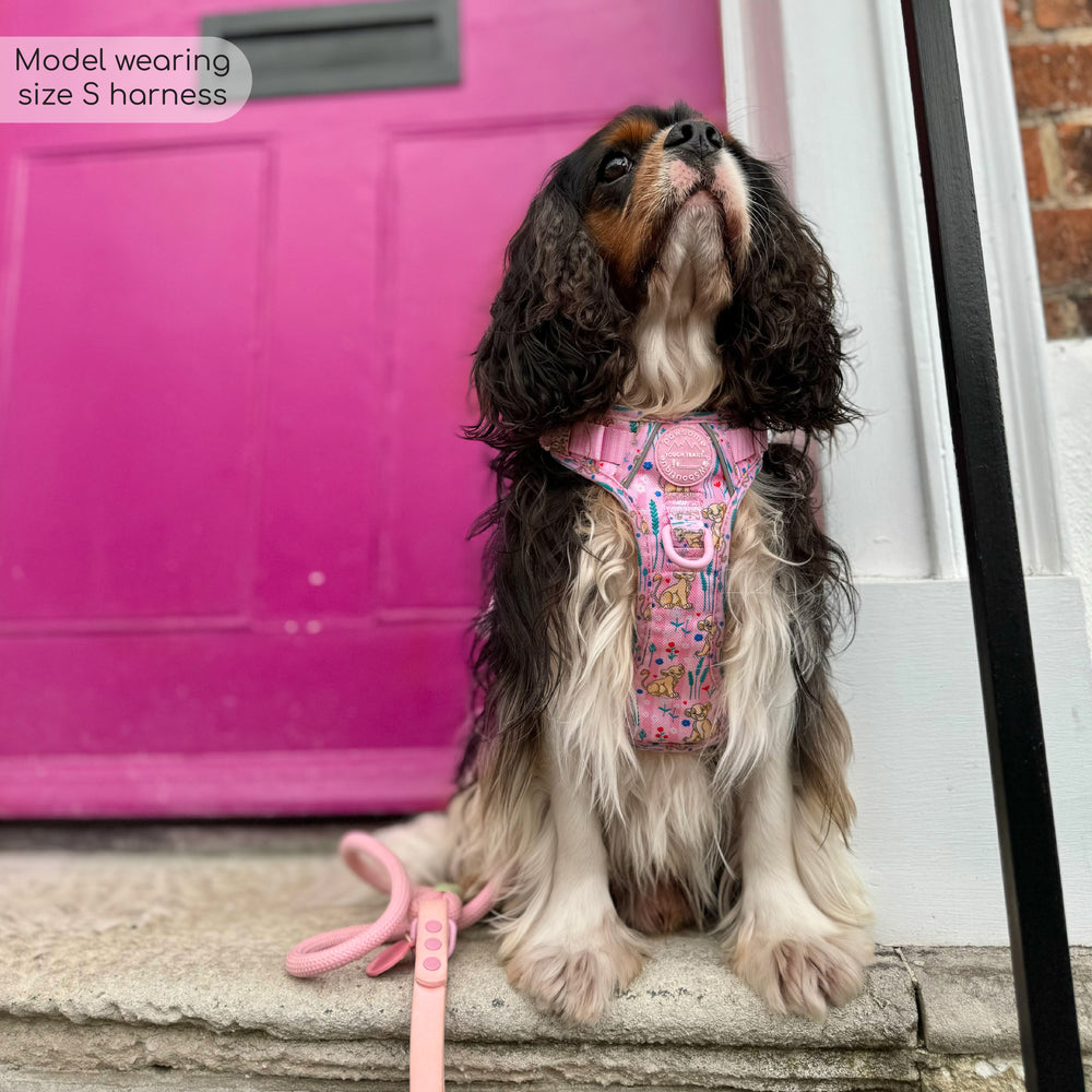 Disney© Tough Trails™ Harness - Nala