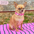 Waterproof Collar - Walkies Ready® Raspberry Pink