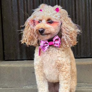 Bow Tie - Mean Girls